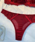 Maroon Bra Set