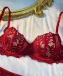 Maroon Bra Set