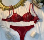 Maroon Bra Set