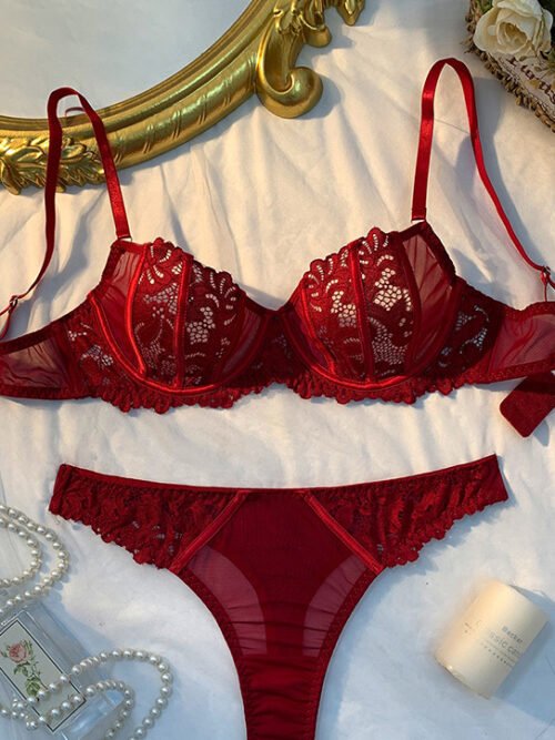 Crimson Desire Embroidered Bra Set – Sheer Lace Lingerie for Bold & Elegant Nights