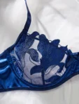 blue bra set 2