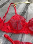 Red Rose Bra Set 3