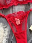 Red Rose Bra Set 3