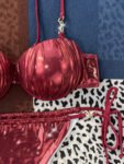 Sexy Red Bra Set