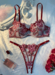 Red White Bra Set