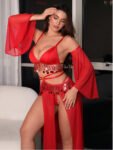 Scarlet Mirage Belly Dance Roleplay Costume Set